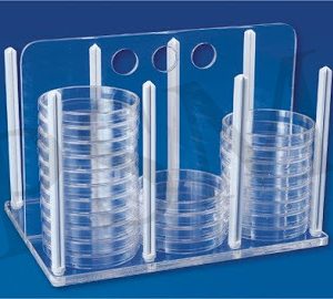 Rack For Petri Dishes